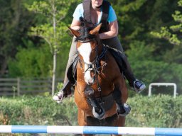 IMG_0685_web